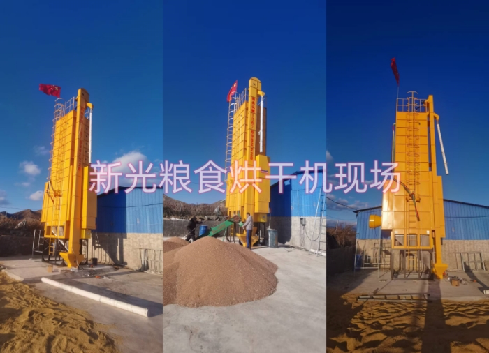 粮食烘干机现场 粮食烘干机现场